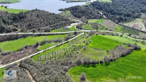 ÇANAKKALE LAPSEKİ ALPAGUT SATILIK MUSTAKİL TARLA