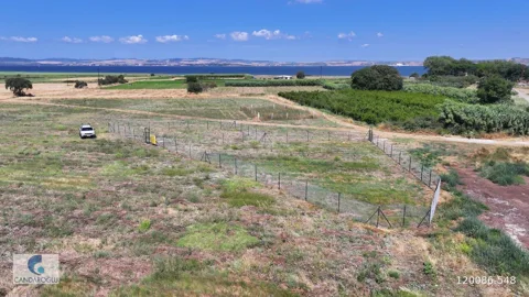 ÇANAKKALE LAPSEKİ ÇARDAK ZİNCİRBOZAN DENİZE YÜRÜME MESAFESİ ARSA