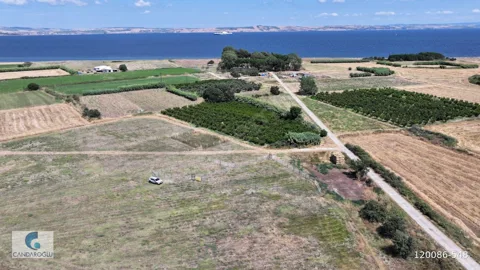 ÇANAKKALE LAPSEKİ ÇARDAK ZİNCİRBOZAN DENİZE YÜRÜME MESAFESİ ARSA