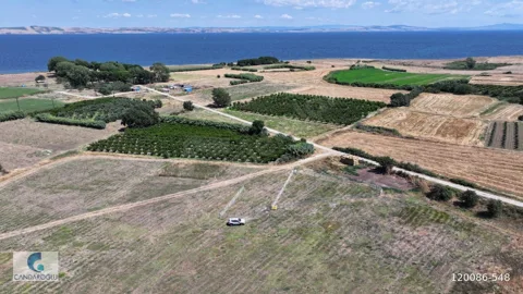 ÇANAKKALE LAPSEKİ ÇARDAK ZİNCİRBOZAN DENİZE YÜRÜME MESAFESİ ARSA