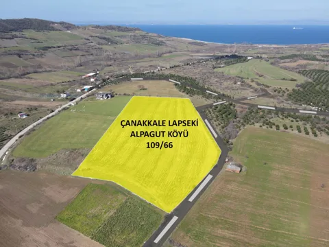 ÇANAKKALE LAPSEKİ ALPAGUT KÖYÜ 109 ADA 66 PARSEL 16.687 m² K