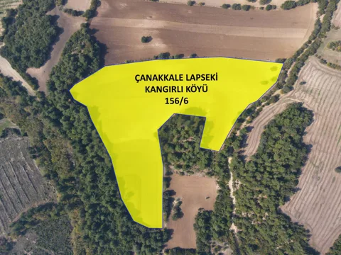 ÇANAKKALE 39.025M² TARLA DENİZ MANZARALI ORMANA SINIR KOOPERATİF YAPILABİLİR
