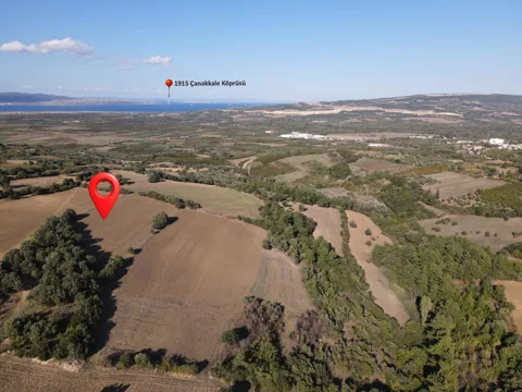 ÇANAKKALE 39.025M² TARLA DENİZ MANZARALI ORMANA SINIR KOOPERATİF YAPILABİLİR
