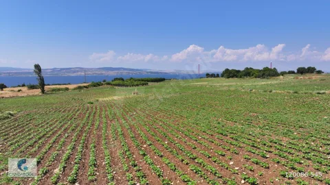 ÇANAKKALE LAPSEKİ SULUCA BOĞAZ VE KÖPRÜ MANZARALI SATILIK TARLA