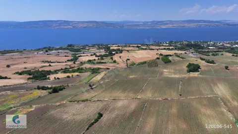 ÇANAKKALE LAPSEKİ SULUCA BOĞAZ VE KÖPRÜ MANZARALI SATILIK TARLA